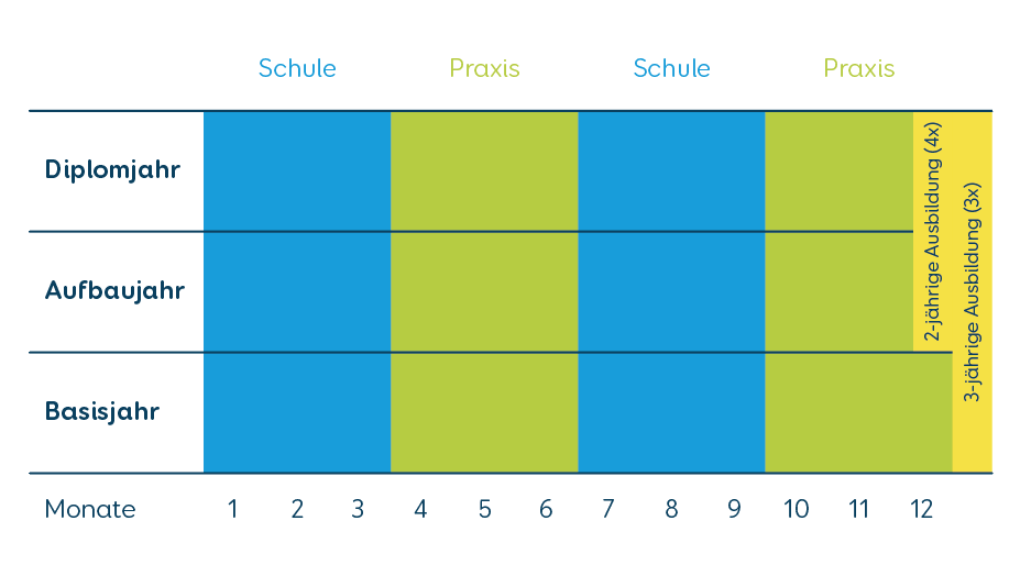 Ausbildungsmodell HF Pflege